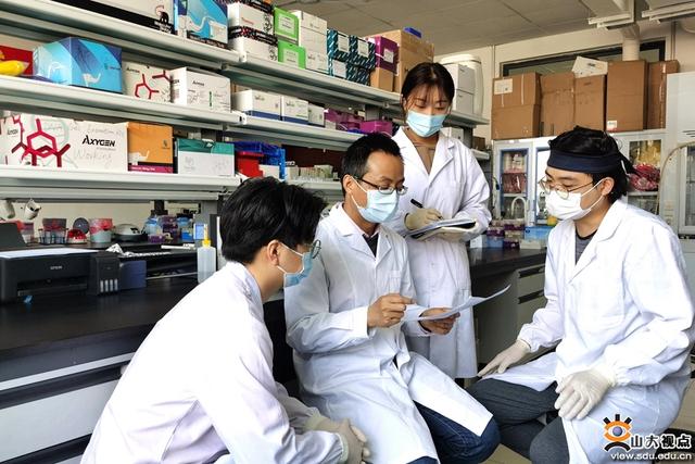 大學生科研項目分工怎么寫（大學生科研項目分工有哪些）