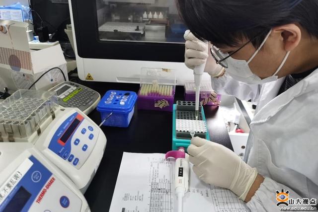 大學生科研項目分工怎么寫（大學生科研項目分工有哪些）