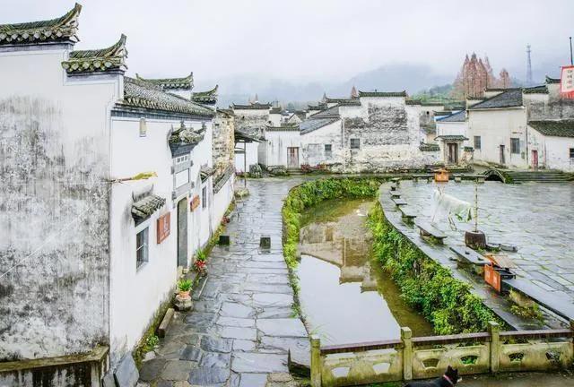 匯總！2022年教育科研等項目，包含安徽廣東山東等省工50個項目