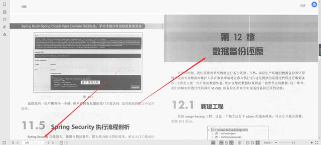 微服務框架VueElement權限管理系統(tǒng)項目實戰(zhàn)PDF分享