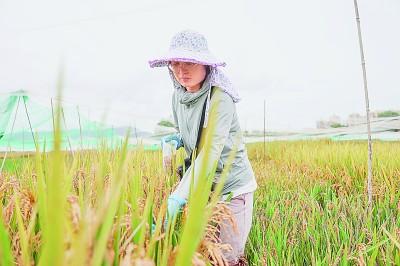 科研經(jīng)費(fèi)管理改革這十年：為人才助力，為創(chuàng)新加速（科研經(jīng)費(fèi)管理新政策）