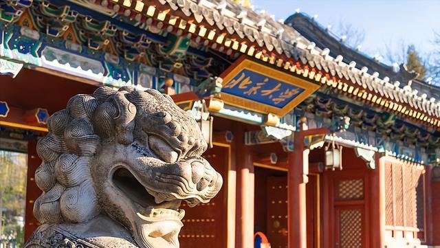 本科專業(yè)就業(yè)前50強(qiáng)，薪資較高的15個職業(yè)盤點，互聯(lián)網(wǎng)類較多（本科就業(yè)前50名專業(yè)）