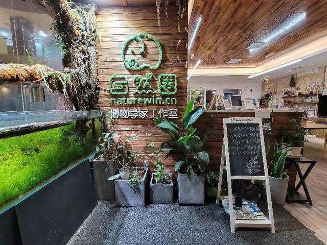 門店管理APP，讓門店實(shí)現(xiàn)“輕管理，重高效”（門店管理APP）