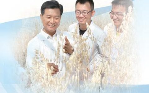任長忠?guī)ьI(lǐng)團隊開展科研攻關(guān)——破譯裸燕麥基因密碼（講述·弘揚科學家精神）