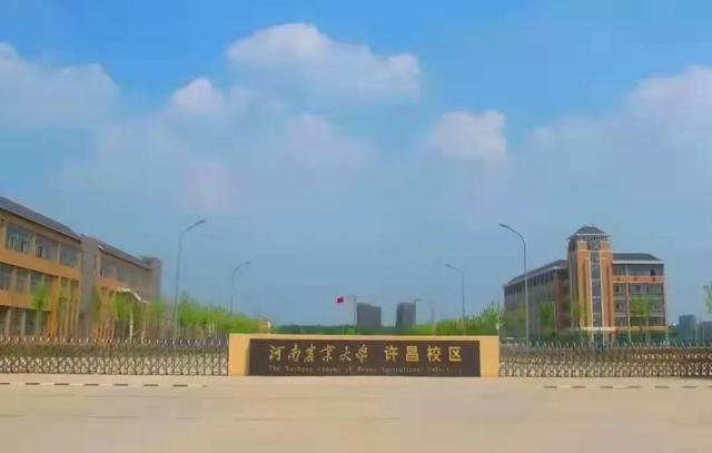 @小21，返校攻略，看這一篇就夠了（返校攻略第一章）