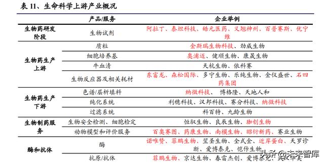醫(yī)藥生物行業(yè)研究及中期策略：把握醫(yī)藥產(chǎn)業(yè)升級(jí)下的新紅利（生物醫(yī)藥產(chǎn)業(yè)布局）