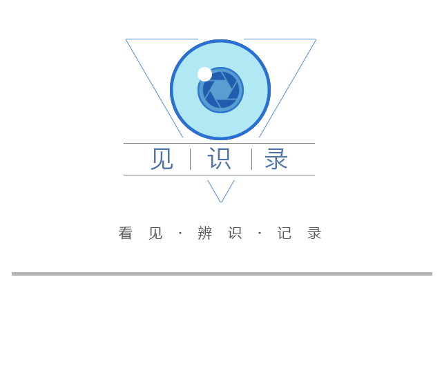 雙向6車道，全長(zhǎng)1.6公里，楊高中路改建雙“人”字形高架跨線橋主線通車